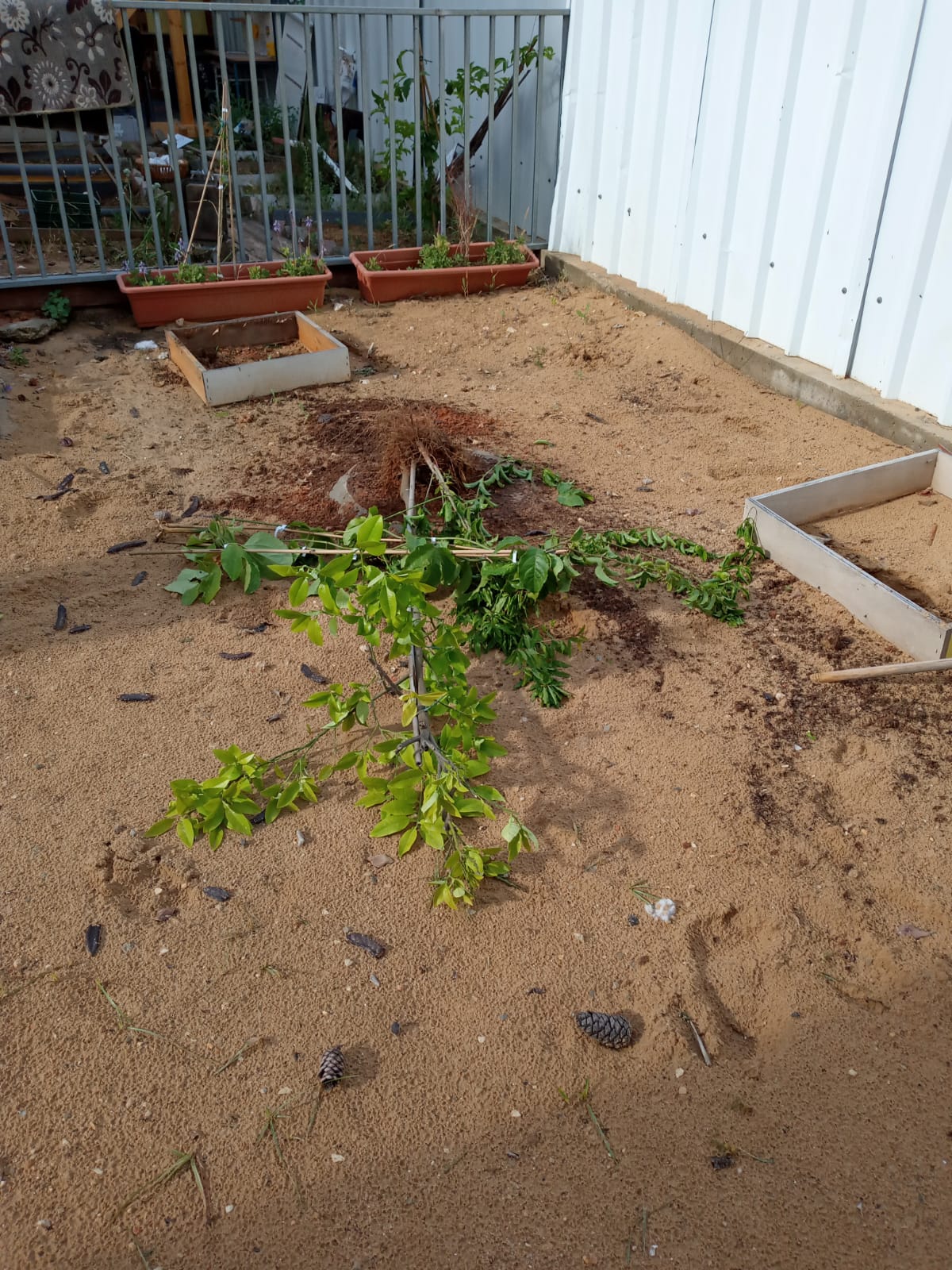 WhatsApp Image 2020-05-06 at 1.02.32 PM (2).jpeg.jpeg